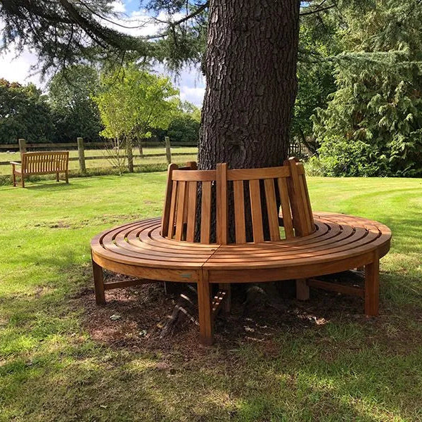Teak circular bench integrated into a tree in a park setting