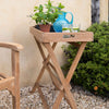 Teakunique's Butler Tray with blue jug and glasses and plants