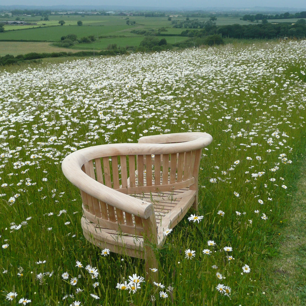 
                  
                    Teak bench with s-shaped curved backrest, in a field of grass and white flowers
                  
                