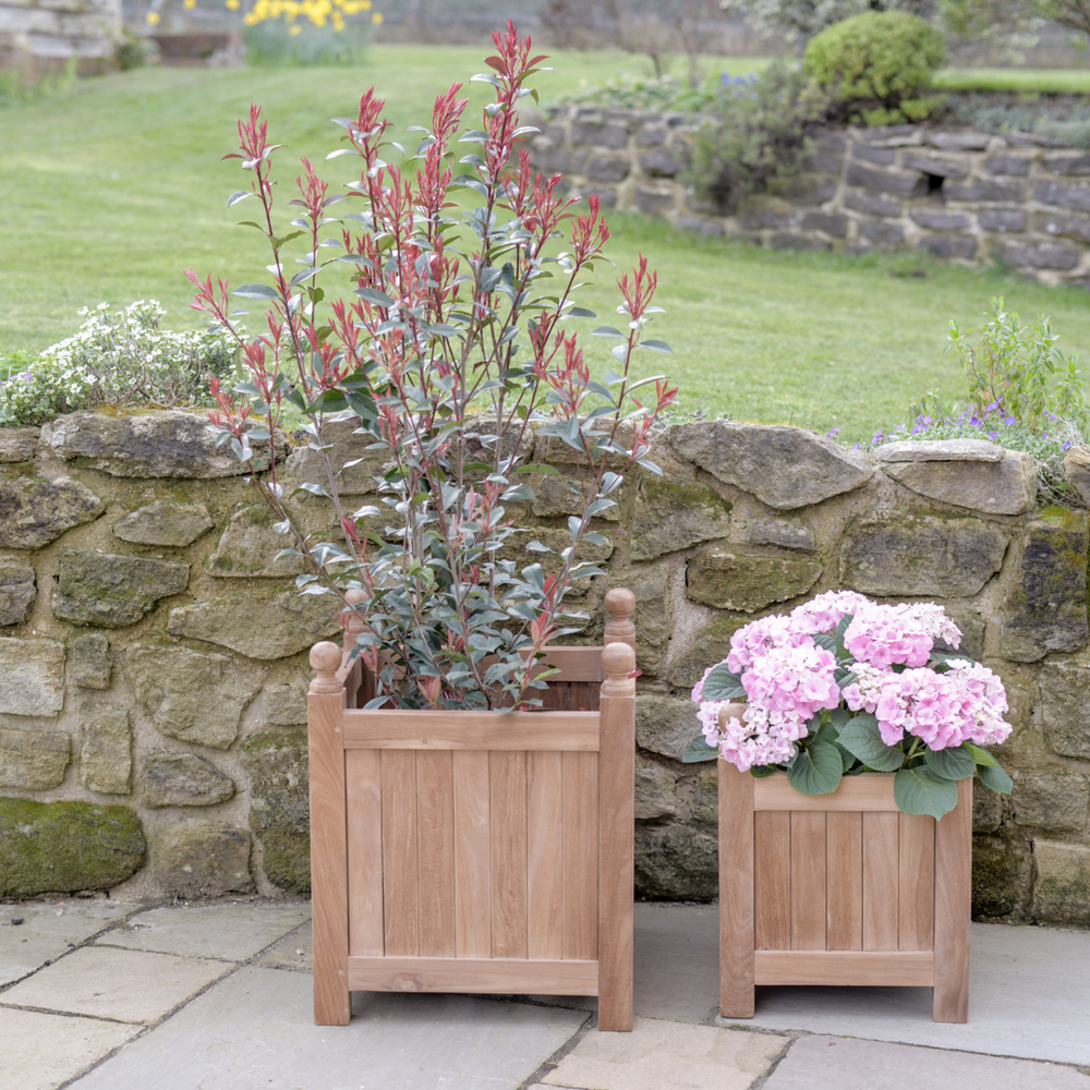 Two teak square planters with plants, the larger one on the left and the smaller one on the right, placed on a stone surface with a stone wall in the background.